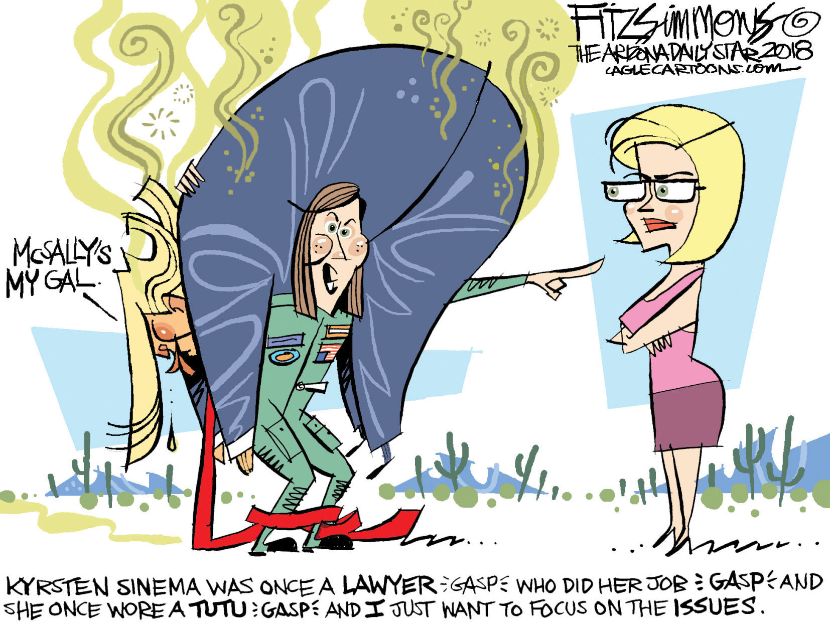 Daily Fitz Cartoon: McSally vs Sinema